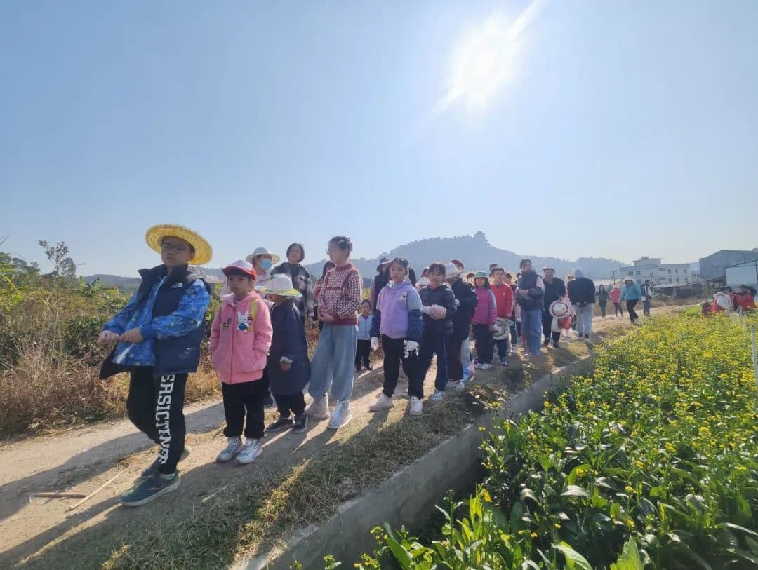 趣农耕、看展览……大小朋友齐齐来研学