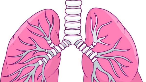 中医治疗白肺的方法是什么
