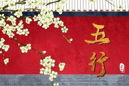 二十四山属金木水火土表