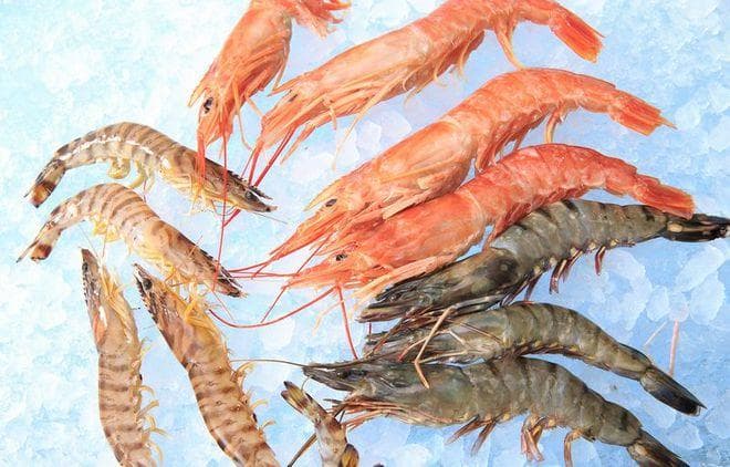 海虾和淡水虾的区别，一文详解生态环境、营养成分和烹饪用途