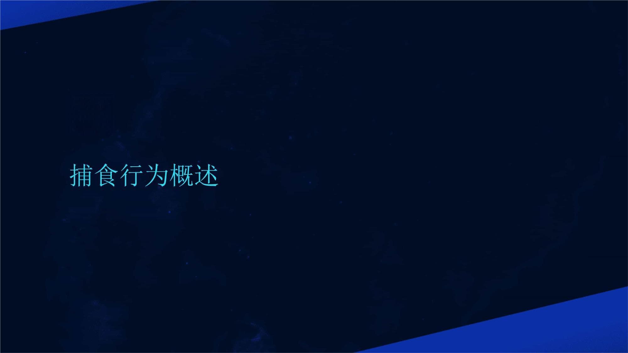 动物捕食行为全解：从生理机制到生态意义