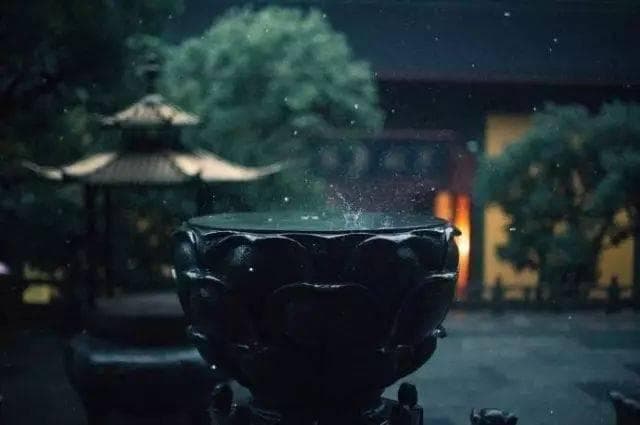 春雨中的摄影秘籍：如何在雨天捕捉独特美景！
