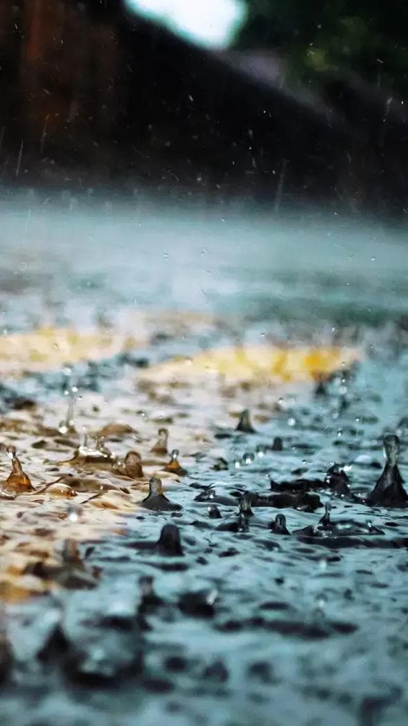 为什么我特别喜欢下雨？