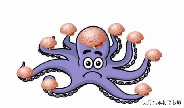 来自外星球？章鱼为何与地球上的生物格格不入，网友：看着都怕