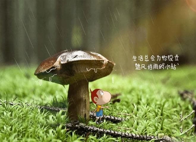 白居易笔下的夜下美景——月色清辉与诗意盎然