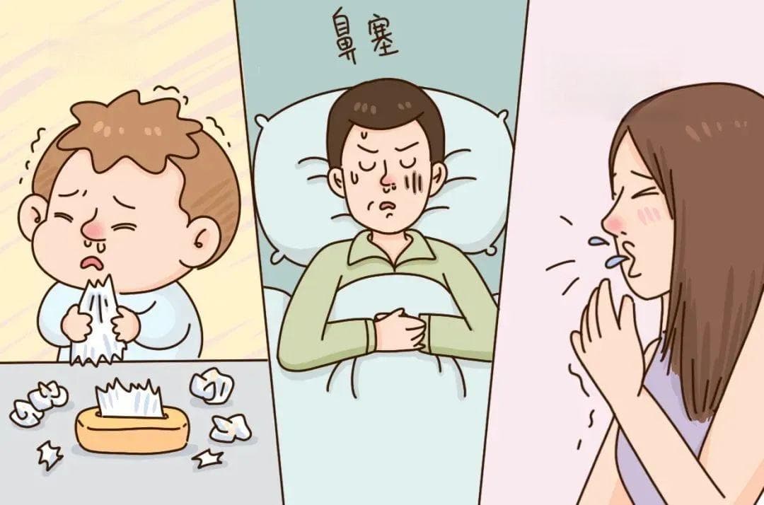 被鼻炎、鼻塞折磨的人，真心建议备上它