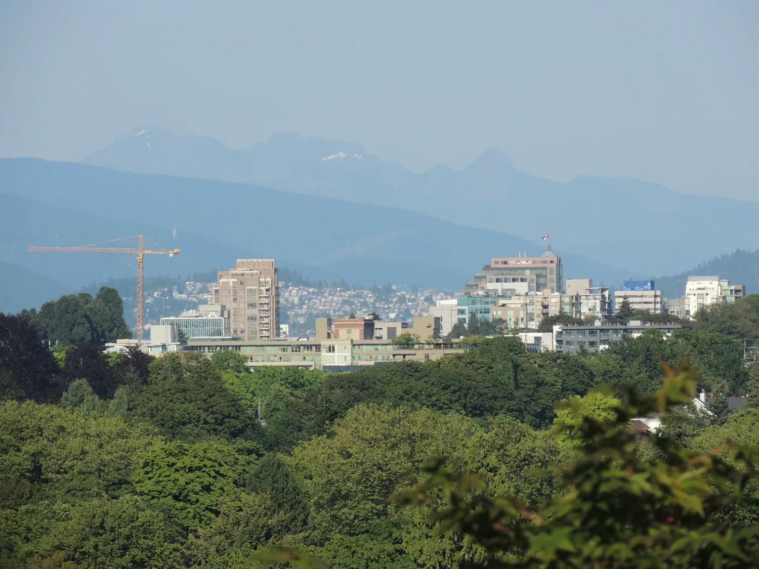从宏村到屯溪老街：黄山市区经典景点与夜游攻略