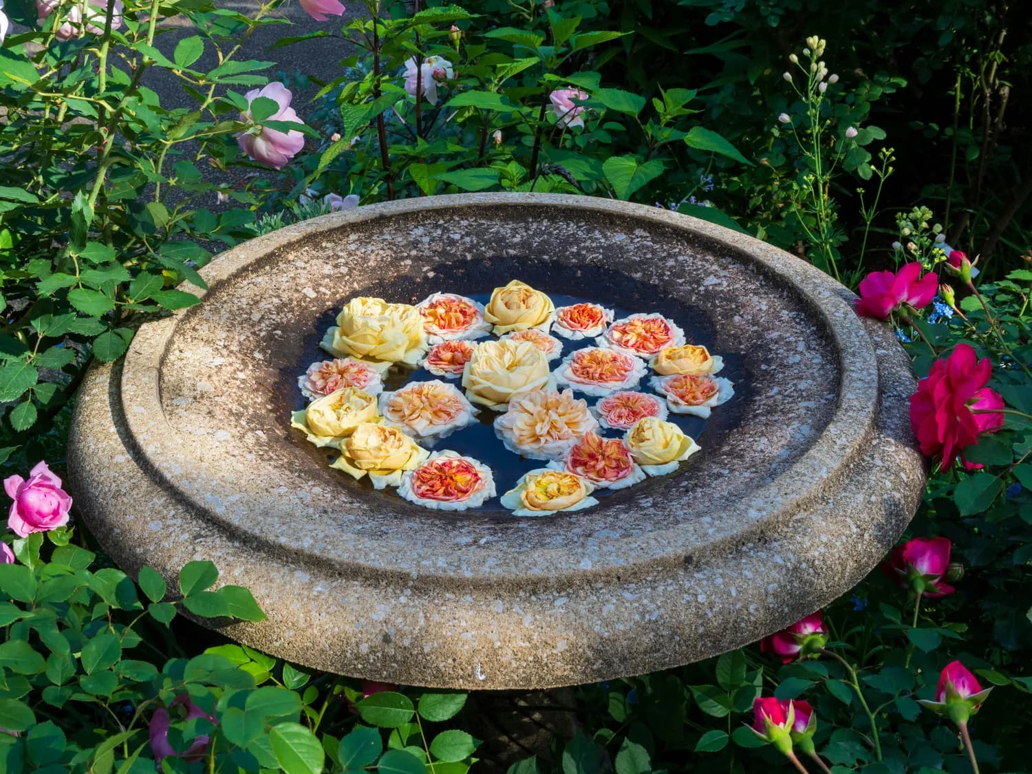 千年洛阳水席：四道经典菜品制作详解