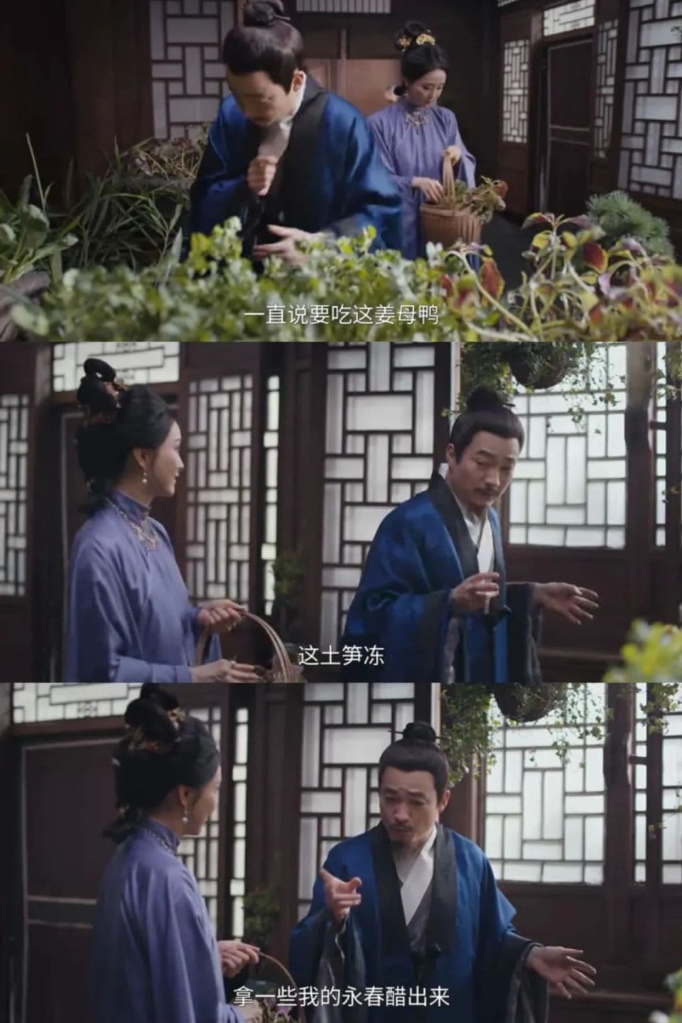 热播剧惊现泉州美食！土笋冻、姜母鸭……