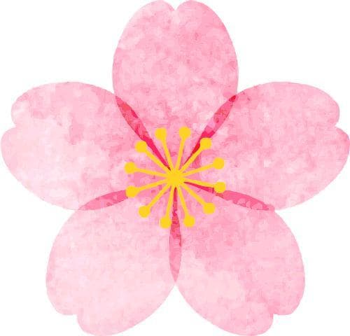 公益心理咨询帮助中高考生减压，助力轻松迎考