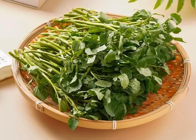 西洋菜：被国外评为最具营养活力的蔬菜，你吃过吗？