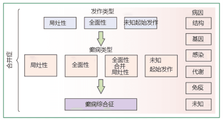 癫痫：从定义到分类的全面解析