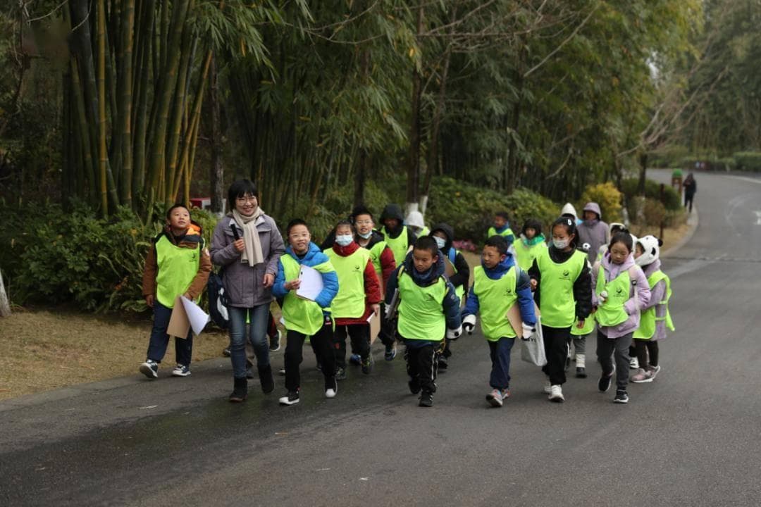 “热辣滚烫”的2024年科普研学活动之——“大熊猫自然笔记”主题自然教育活动回顾