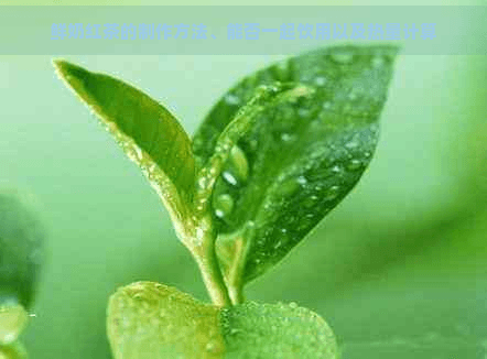鲜奶红茶的制作方法、热量计算与健康饮用建议