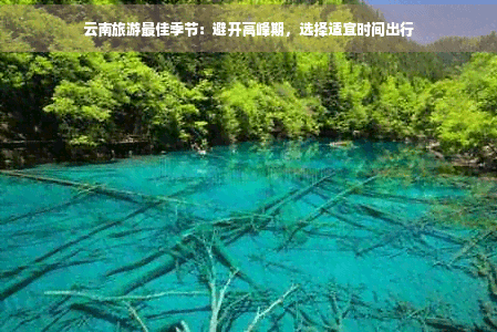 云南旅游最佳季节：避开高峰期，选择适宜时间出行