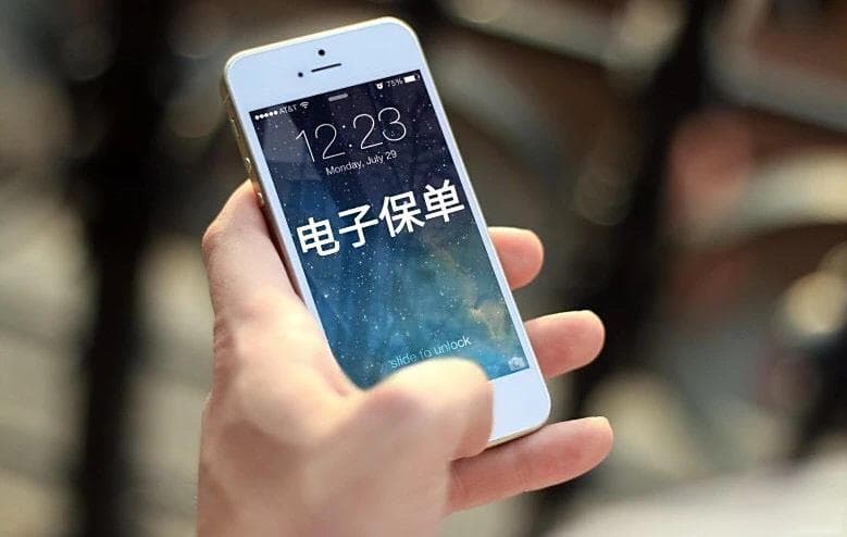 车主必读：办理了车险电子保单，还需要贴交强险标志吗？