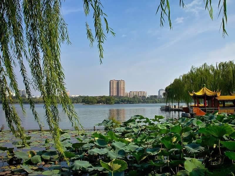 大明湖：泉城明珠的自然人文之美