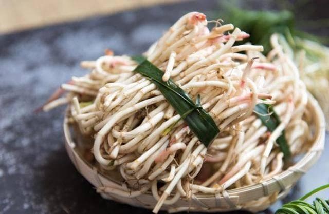 为何说鱼腥草是“害人草”？经常吃鱼腥草会给身体带来什么影响？