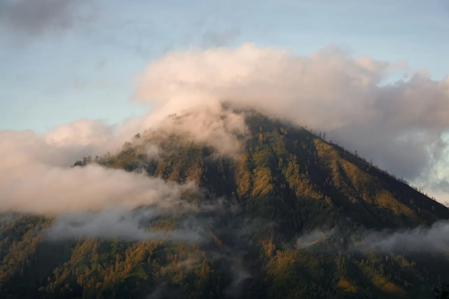 探访峨眉山：世界遗产地的生态保护秘籍