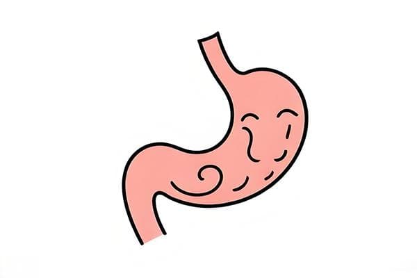 温和调理慢性胃炎：6款常见食材食疗方