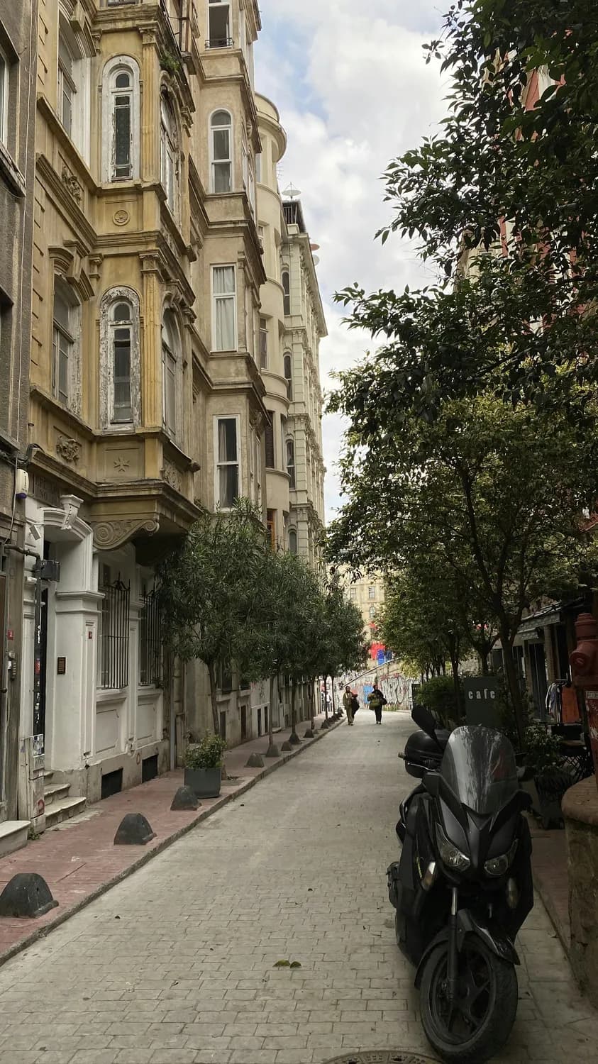 芙蓉街重新开街：济南老街巷的文化魅力再现