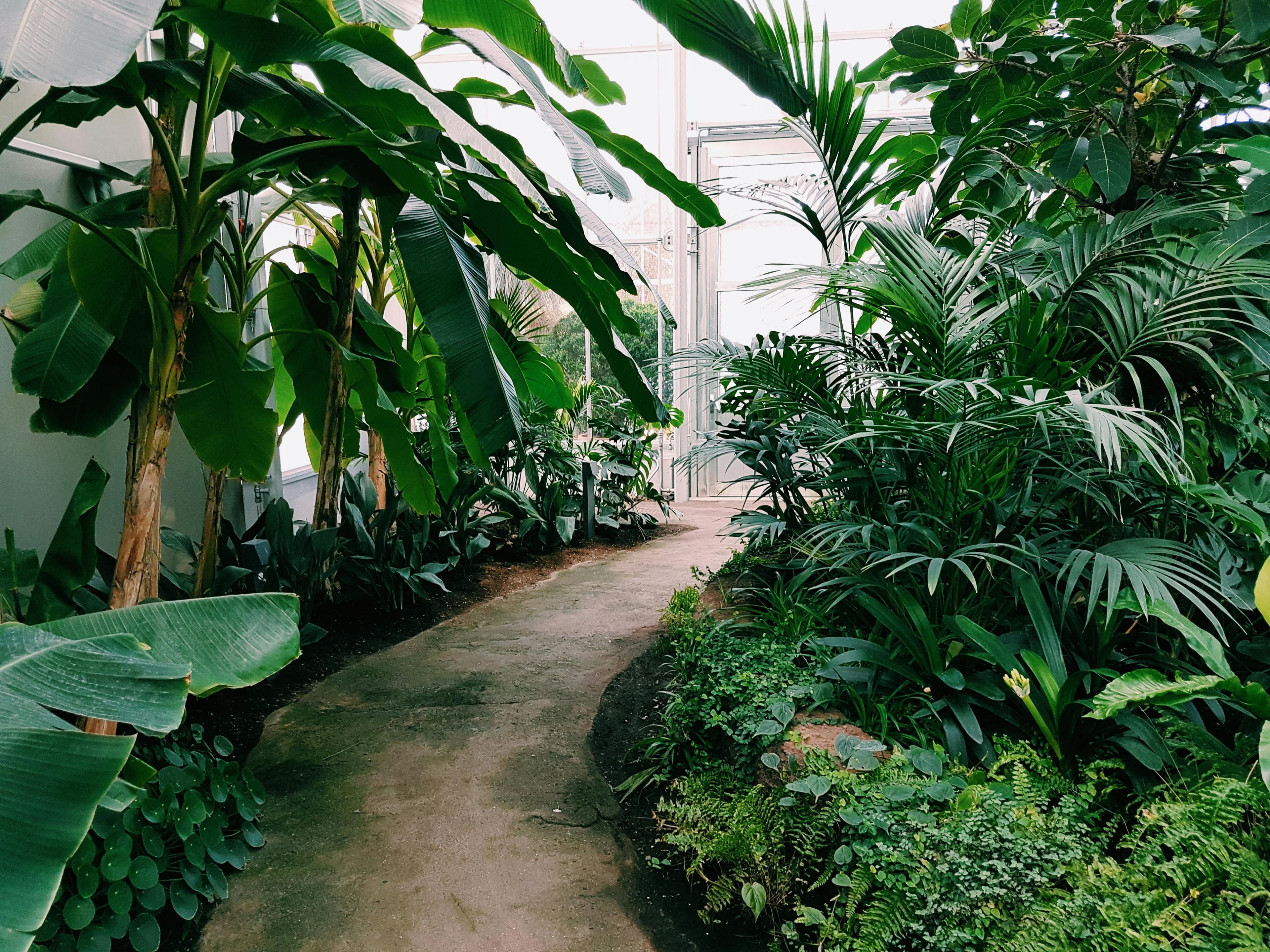 想进植物园工作？这些岗位和条件你必须了解