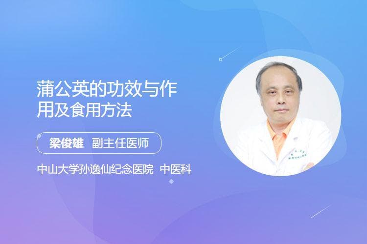 蒲公英的功效与作用及食用方法