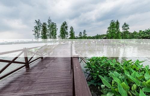 豆油和花生油哪个更好：全面对比解析