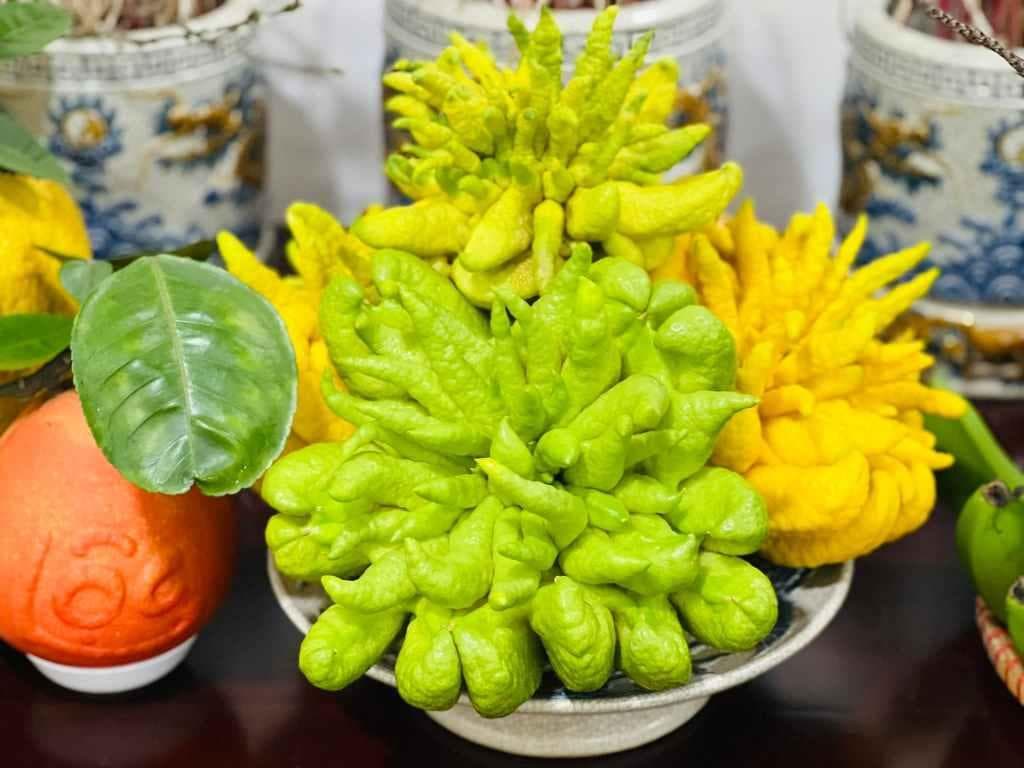 越南特色水果：从佛手到马卡普诺椰子的七种独特美味