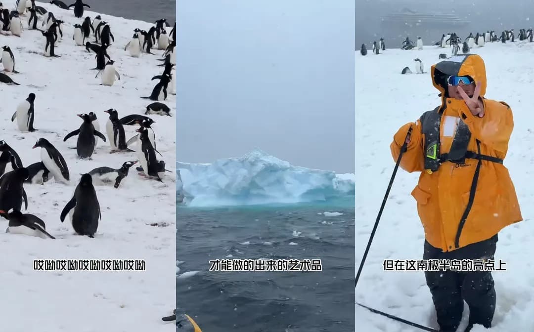 3个月涨粉880万，蓝战非活成了“打工人的终极梦想”