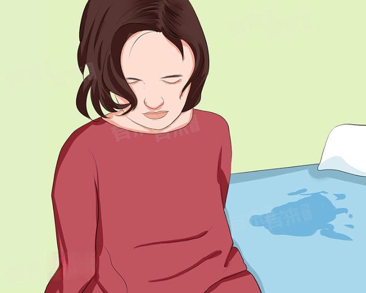 尿床去医院挂什么科
