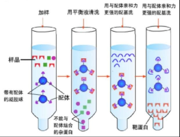 药物研发两大策略：以药找靶 vs 以靶找药，你选哪一个？