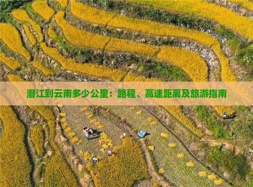 潜江到云南西双版纳旅游全攻略：必去景点与交通指南