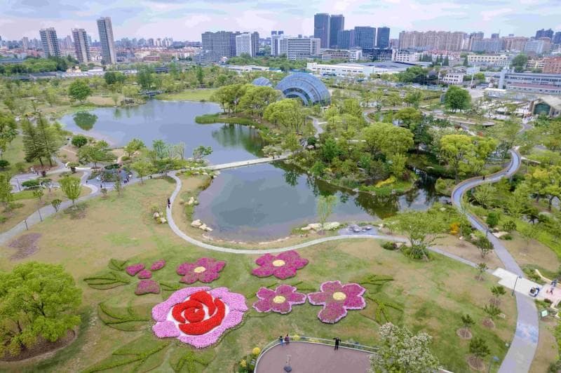 上海植物园园艺作品在2024公园园艺展示活动中再次实现“大满贯”