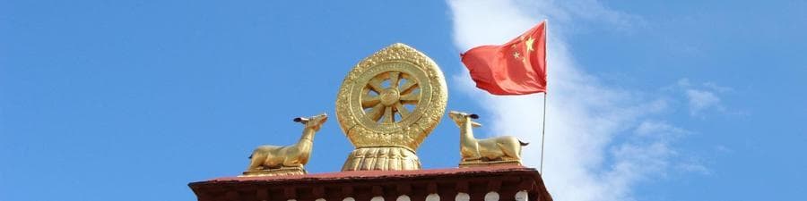 国内账户之间转账美金：操作步骤、费用及注意事项