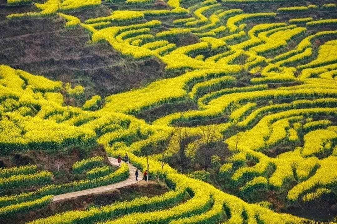 江西婺源深度旅游攻略 | 山水画廊里的徽派诗意栖居