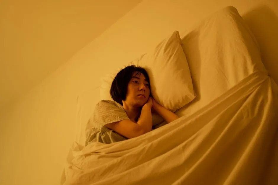 《我们为什么要睡觉》：被忽视的生命恩赐和现代科学的盲点
