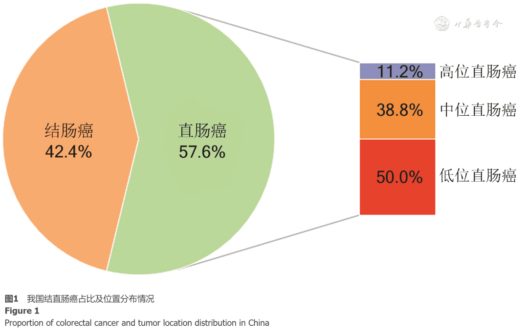 中低位直肠癌的精准诊断与规范治疗