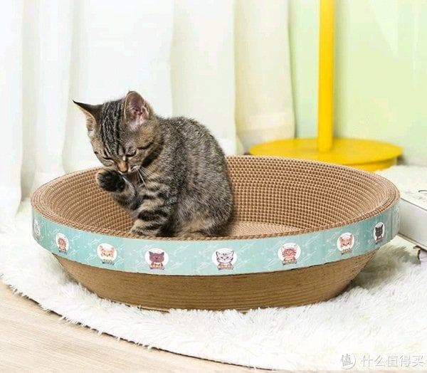猫抓板选购指南：不同种类解析，让你的猫咪更幸福