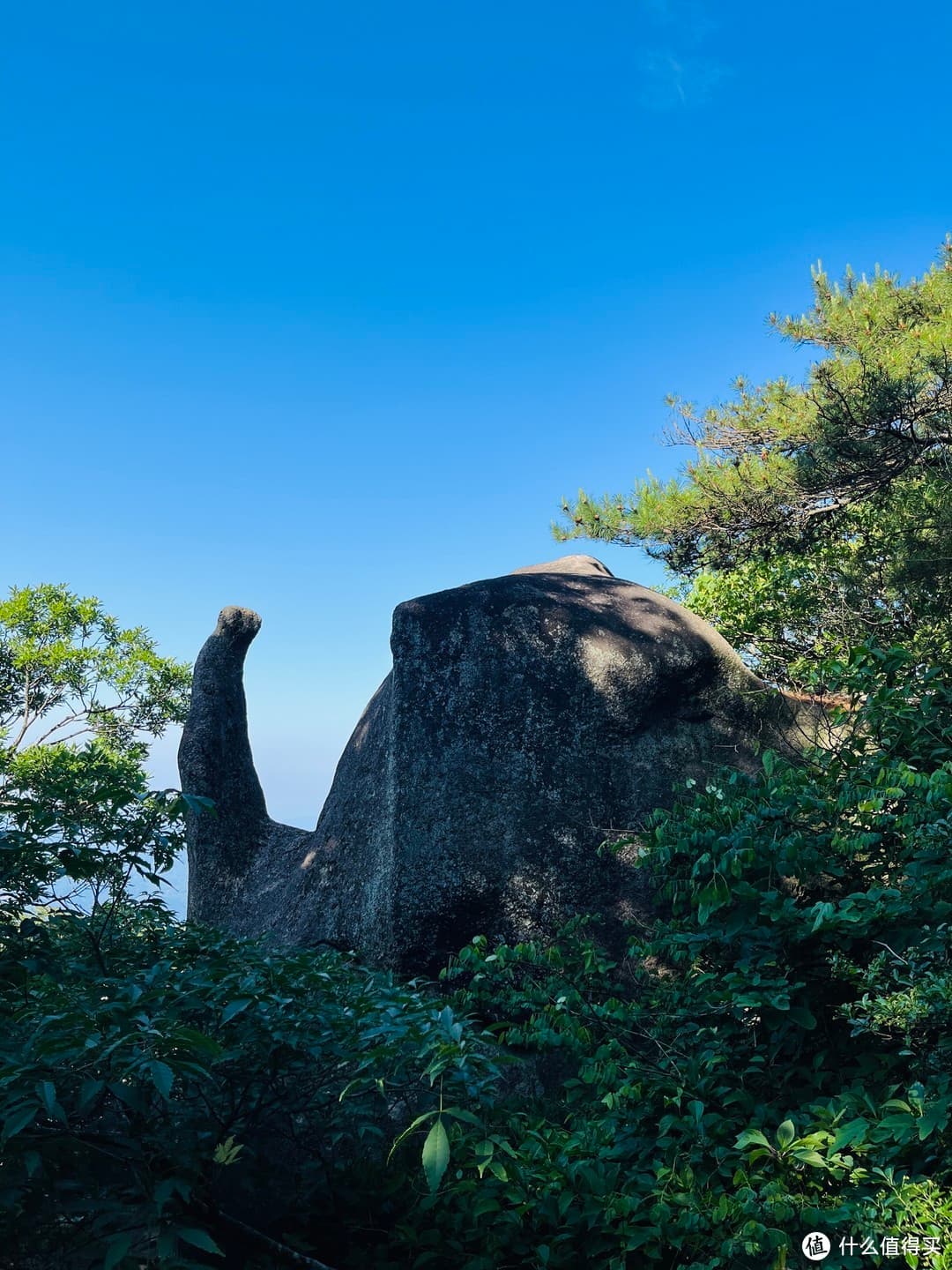 哇！天柱山竟有这些美景！