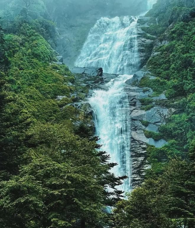 墨脱：高原孤岛的四季秘境