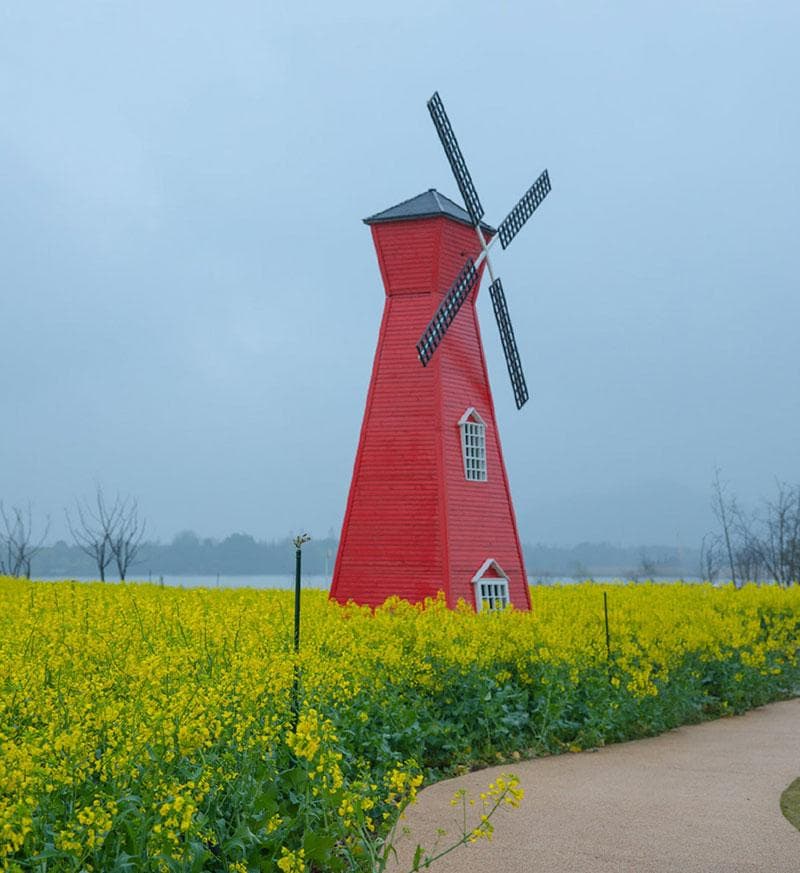 杭州十大赏花胜地：油菜花开正当时，这些地方值得一去