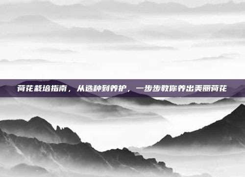 荷花栽培指南，从选种到养护，一步步教你养出美丽荷花