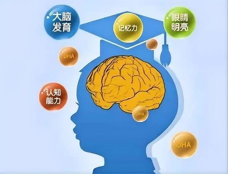 DHA真能让孩子变聪明？研究发现：人类智商每10年提高2.2分
