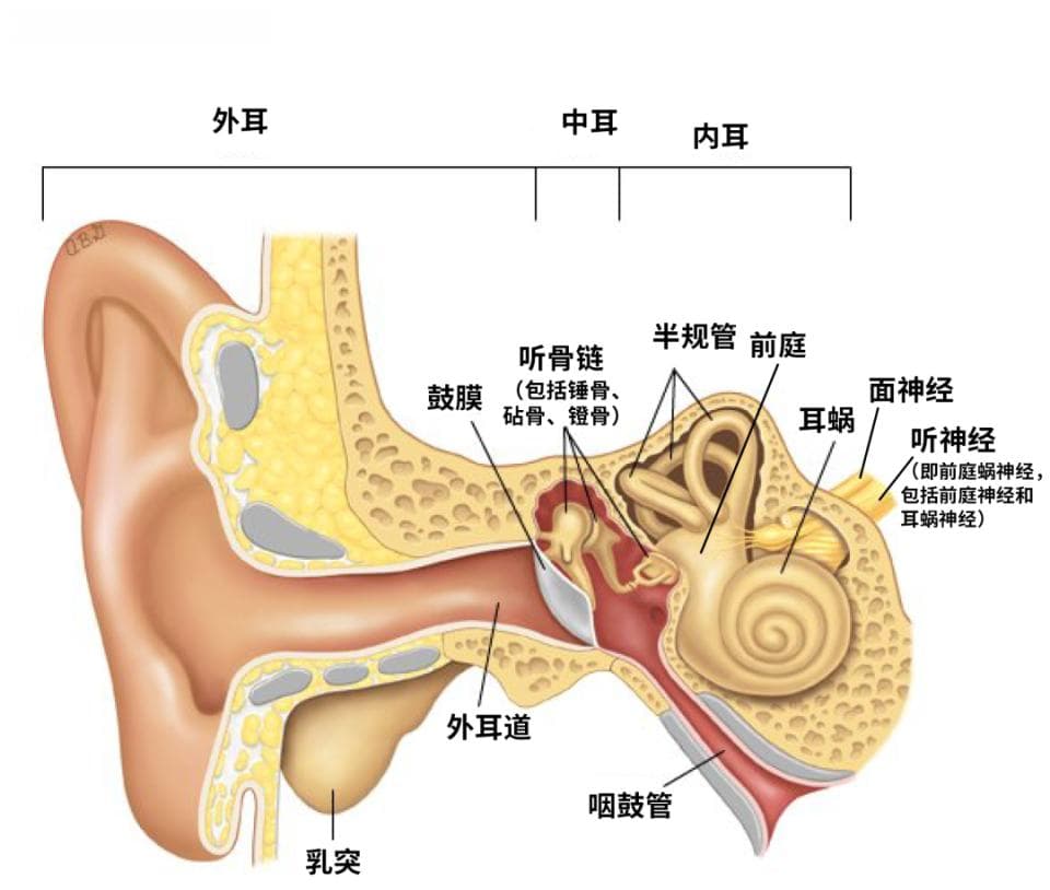 听力不好，如何挑选合适的助听器？