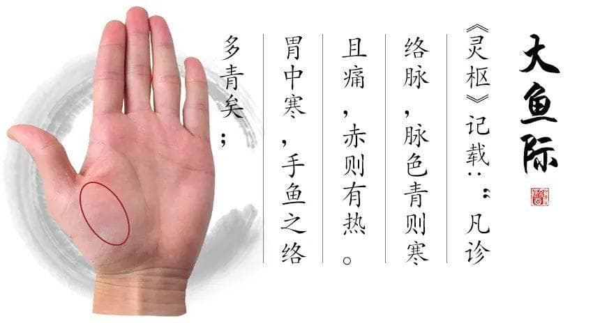 百草益寿：注意大鱼际的四种变化，对应脾虚、肺热、心血瘀滞