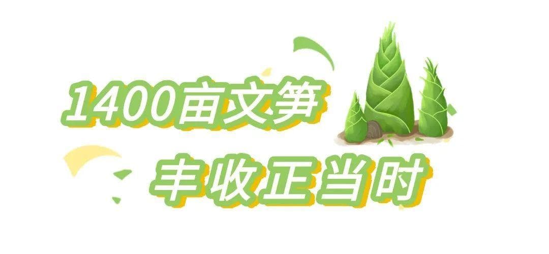 广宁的春天何止赏花？吃笋挖笋也刚刚好