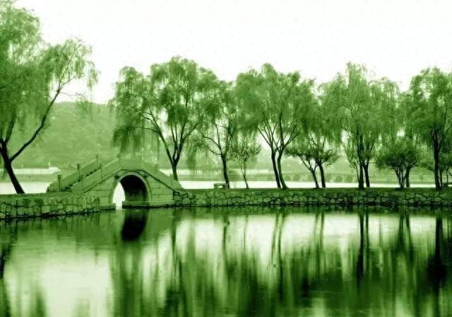 让你经历情劫的人，其实是来渡你的，一切过往皆是为了成就
