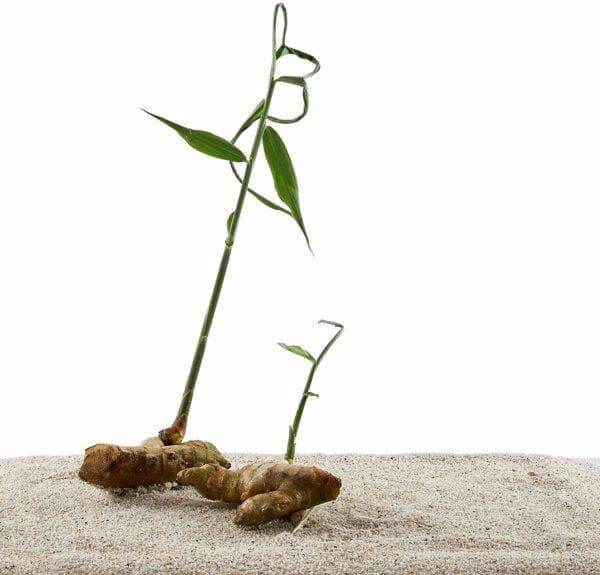 囊肿和肿瘤有啥区别?