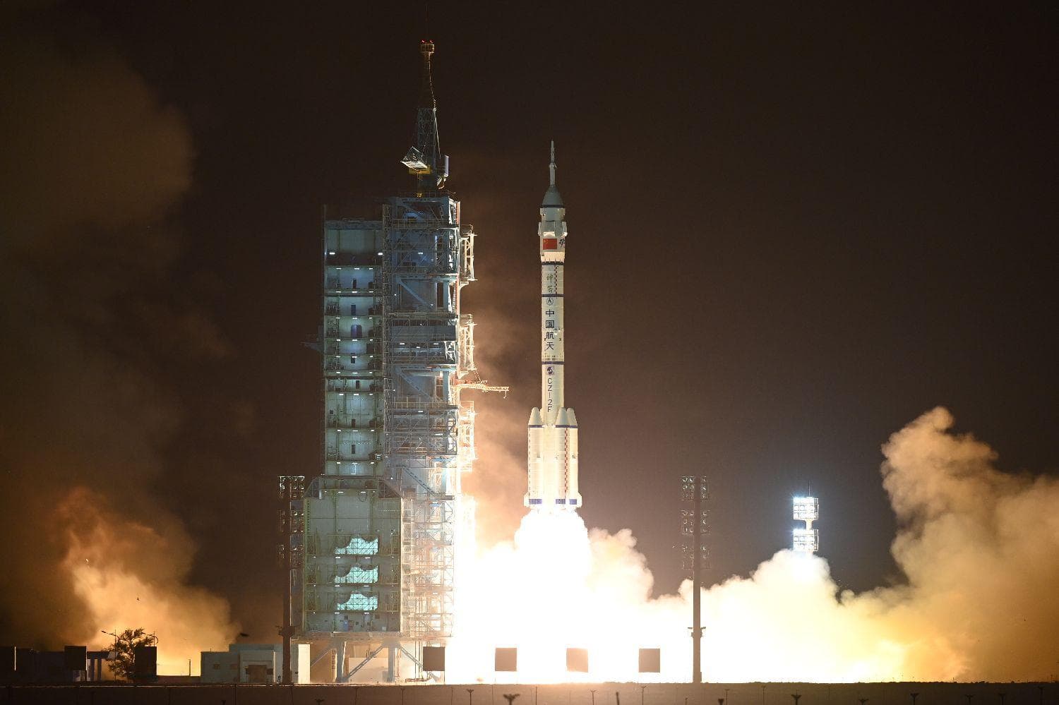 为什么要在太空养斑马鱼？